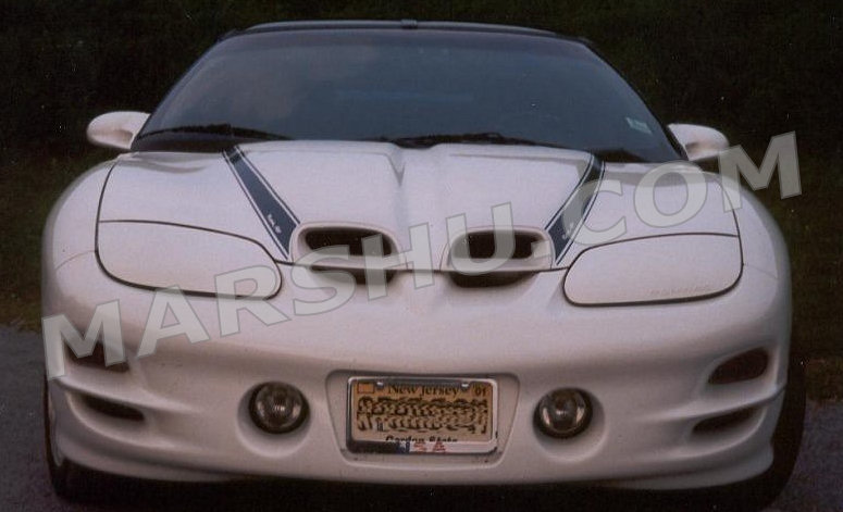 Front view of my firebird's GMMG stripes - two blue stripes on both sides of WS6 hood